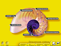 internet web agence - Vidéo sur cdrom